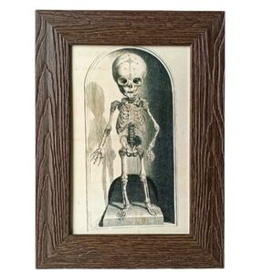 Vintage Skeleton Oddity Sideshow Circus Freakshow Cool You Home Decor Halloween